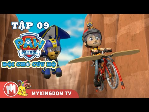 ĐỘI CHÓ CỨU HỘ PAW PATROL MINI | Tập 09: Biệt Đội Cứu Hộ Cứu Bữa Trưa Táo Bạo | Phim hoạt hình