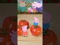 Peppa Pig Tomato Salad🥗🍅#peppapig #georgepig #healthy #peppa #cartoon #funny #food #peppa #salad