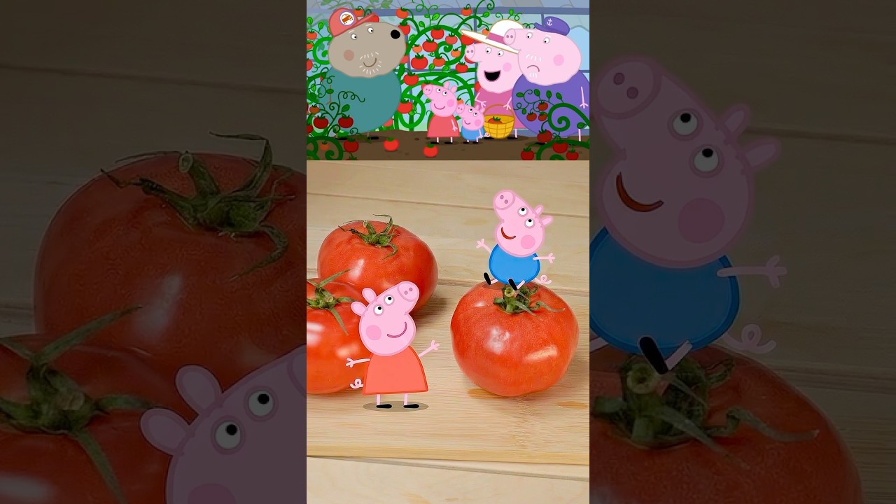 Peppa Pig Tomato Salad🥗🍅#peppapig #georgepig #healthy #peppa #cartoon #funny #food #peppa #salad
