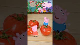 Peppa Pig Tomato Salad🥗🍅#peppapig #georgepig #healthy #peppa #cartoon #funny #food  #peppa #salad Net Worth