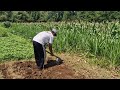 SMART TECHNIQUES FOR QUICKLY LEVELING THE LAND USING SIMPLE HOMEMADE TOOLS! - Agriculture Farming