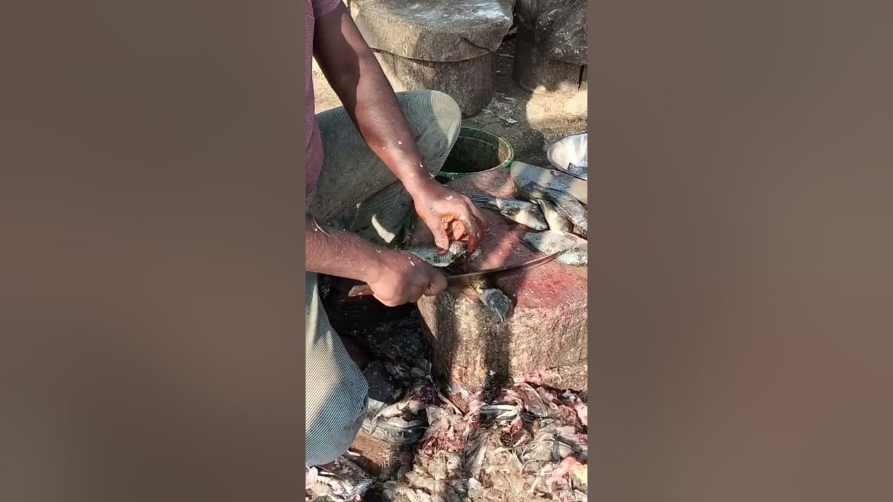 tilapia-fish-cutting-ukkadam-fish-market-coimbatore-shorts-youtube