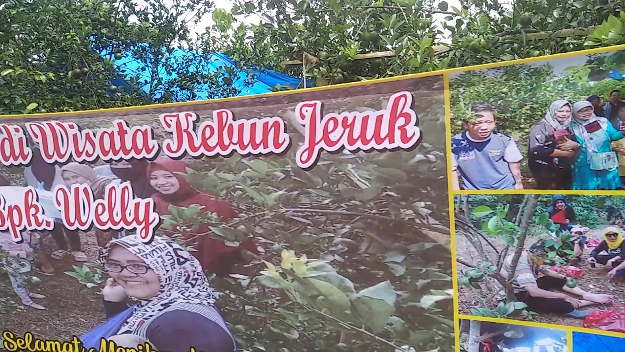  Wisata  kebun jeruk Batanghari ogan pesawaran Lampung  2022  YouTube