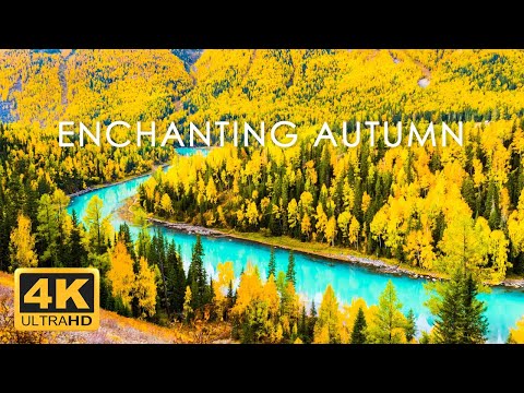 Incredible Fall Foliage - Best 4K Autumn Nature Scenes from Around the World + Calming Music