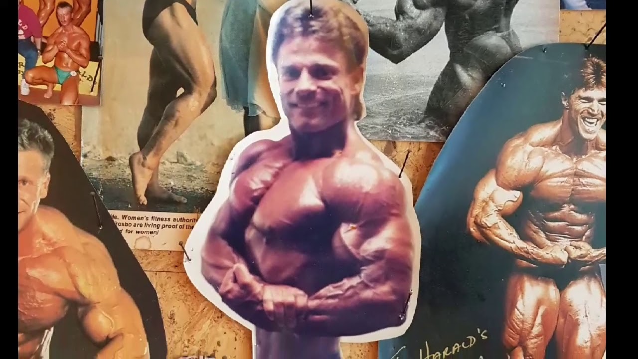 Harald The Lamborghini