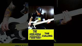 The Smashing Pumpkins - The Culling