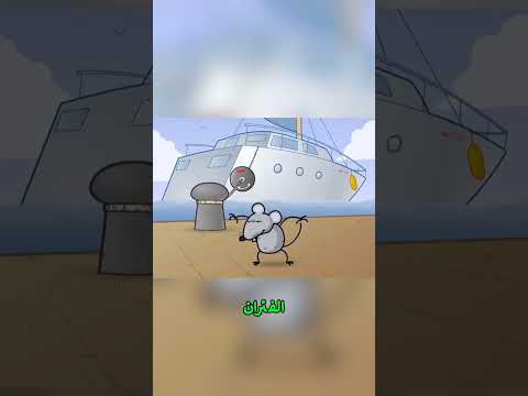 الجهاز الذى يبعد الفئران عن السفن اكسبلور    لايك قصص