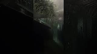 Rain in natural sounds #natural #naturalrainsound #rain
