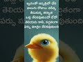 #trending memes#viral memes#meme page#cinema memes#daily life memes#telugu memes#meme videos
