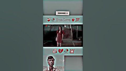 True Love Story Video ❤‍🩹 Tripti Dimri New Song ❤‍🔥 Romantic Love 😍#trending #love #status #broken