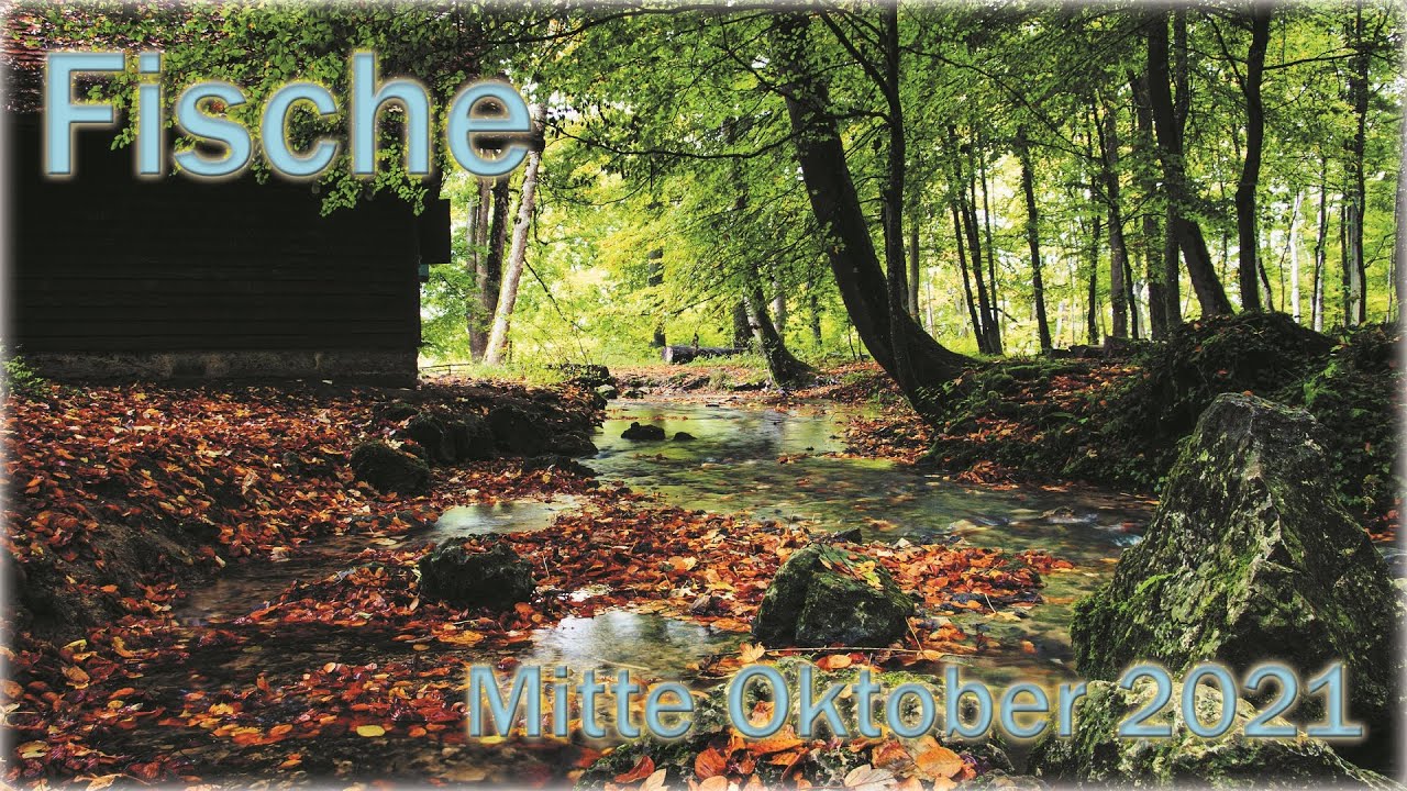 ♓ Fische - Mitte Oktober 2021 ♓ - Im Trüben Fischen - - YouTube