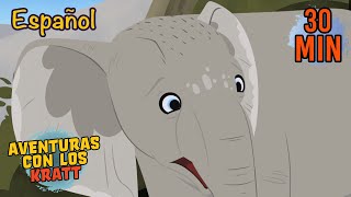 Se Perdió El Elefante Bebe Mamíferos Y Más Aventuras Con Los Kratt