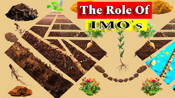 Unseen Benefits of Indigenous Microorganisms (KNF)