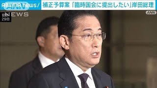 岸田総理　補正予算案を「臨時国会に提出したい」と初めて明言(2023年9月29日)