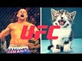 UFC Fighters Answer Adorable Questions