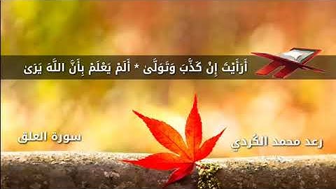 سورة العلق كاملة بصوت القارئ رعد الكردي بجودة360p تلاوة تقشعر لها البدن