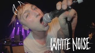 Watch White Noise Cosmopolitician video