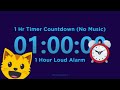 1 hour timer countdown no music  1 hour loud alarm