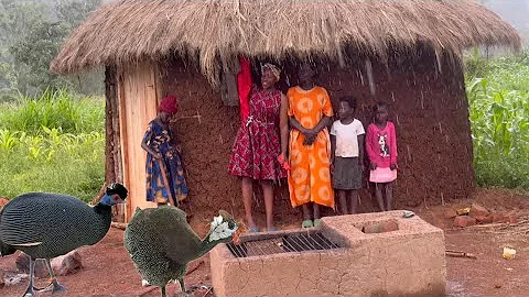 Quick & Easy Village Dinner! 🤩 Guinea Fowl Stew + Creamy Mashed Potatoes That Melt In Your Mouth 🍲🥔🔥