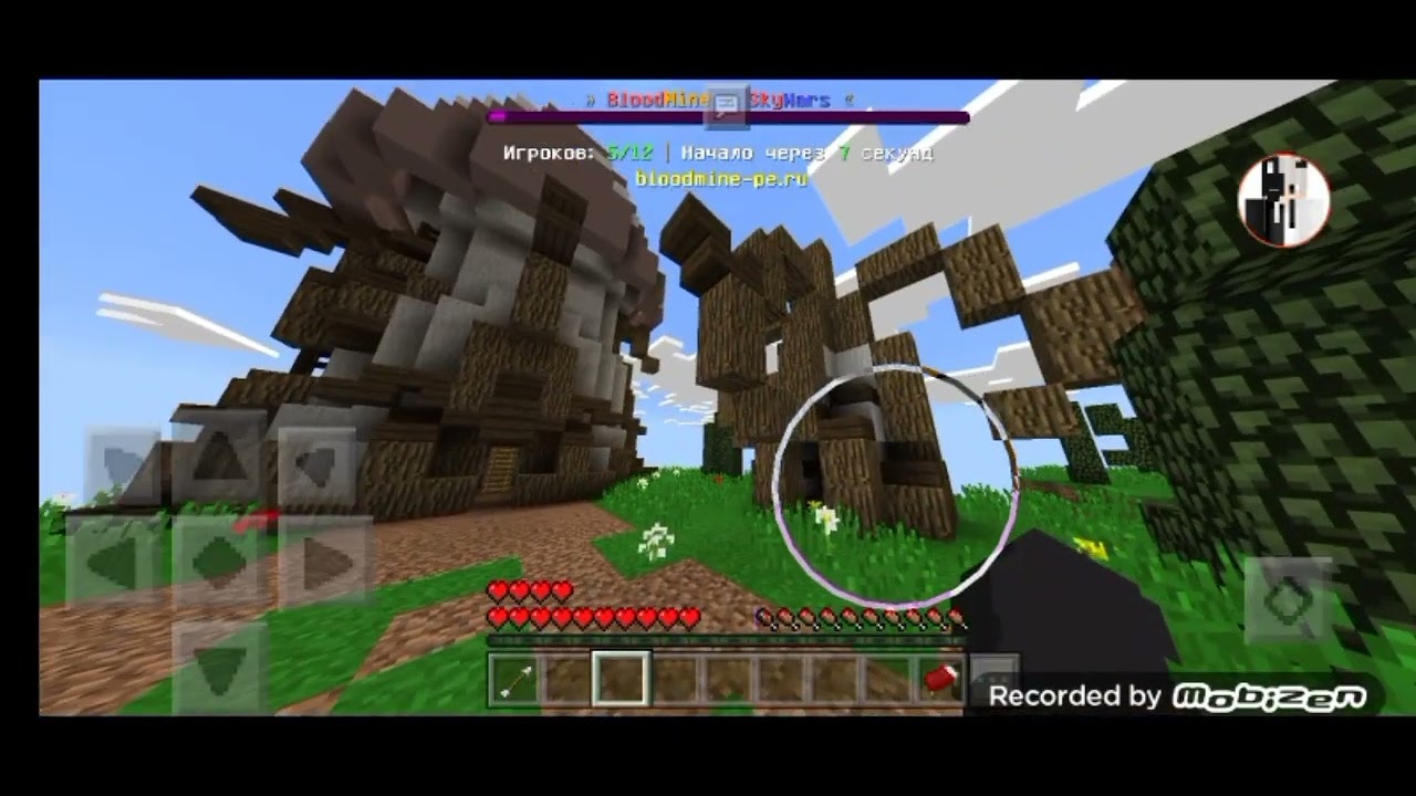 Играю на *самом* крутом для меня сервере... | Robbee