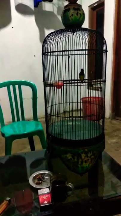 'Restu ibu' Firas Psi Magelang