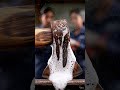 Instant rust cleaning spray #rust #restoration #satisfying #asmr #spray #shorts