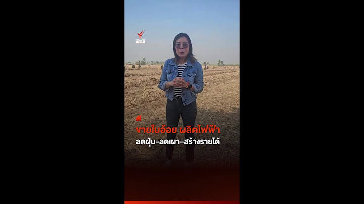 ขายใบอ้อย ผลิตไฟฟ้า ลดฝุ่น-ลดเผา-สร้างรายได้ | Thai PBS News