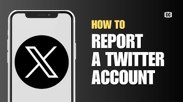 How to report a Twitter Account (2024)