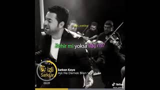 Serkan Kaya_Aşk Ne Demek Bilen Var Mı? Resimi