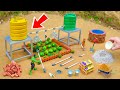 DIY Dual Water Tank System With Tap Pipes for Irrigation | Science Project
