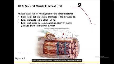 Chapter 10 Part 2 Video