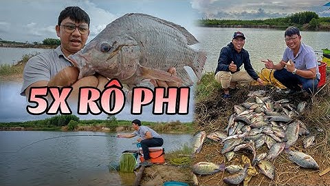 Câu Đài | Hồ bán thiên nhiên đầy ẩn số - câu cá rô phi