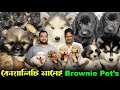 Unbelievable Price! 😱 Original Breed Puppies For Sale! Dog Market in Kolkata Price.