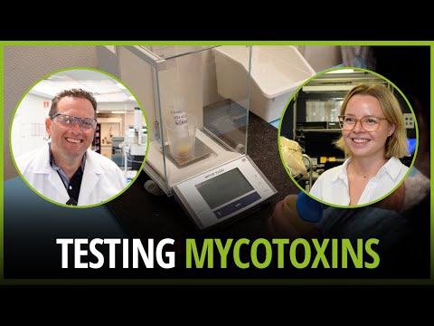 Testing feed materials for mycotoxin contamination - video from All About Feed