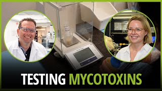 Testing feed materials for mycotoxin contamination