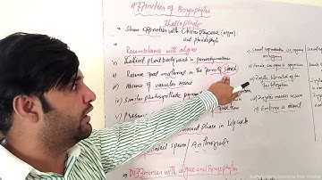 Affinities Of Bryophytes With Algae Video Lectured by Prof. Shafi Ullah Khan, Muzaffargarh