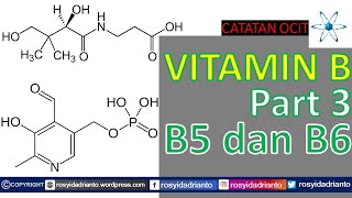 Vitamin B - part 3 B5 dan B6