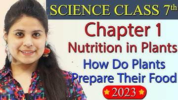 How Do Plants Prepare Their Food? Chapter 1 – Nutrition in Plants - NCERT Science Class 7