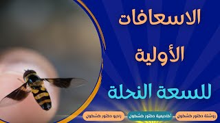 لدغة الدبور أو قرصة النحل .. ما هي الاسعافات الأولية للسعة النحلة أو الدبور؟