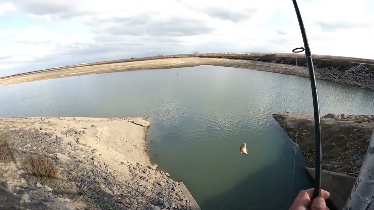 Lake Wollomes  (Winter bass fishing)#bassfishing #largemouthbassfishing #fishing