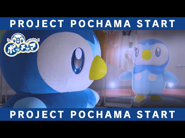 ポケモン プロジェクトポッチャマが本格始動 宣材写真を撮るポッチャマがかわいすぎて悶える ファミ通 Com