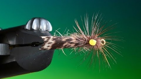 Tying a Mottled caddis/sedge with Barry Ord Clarke