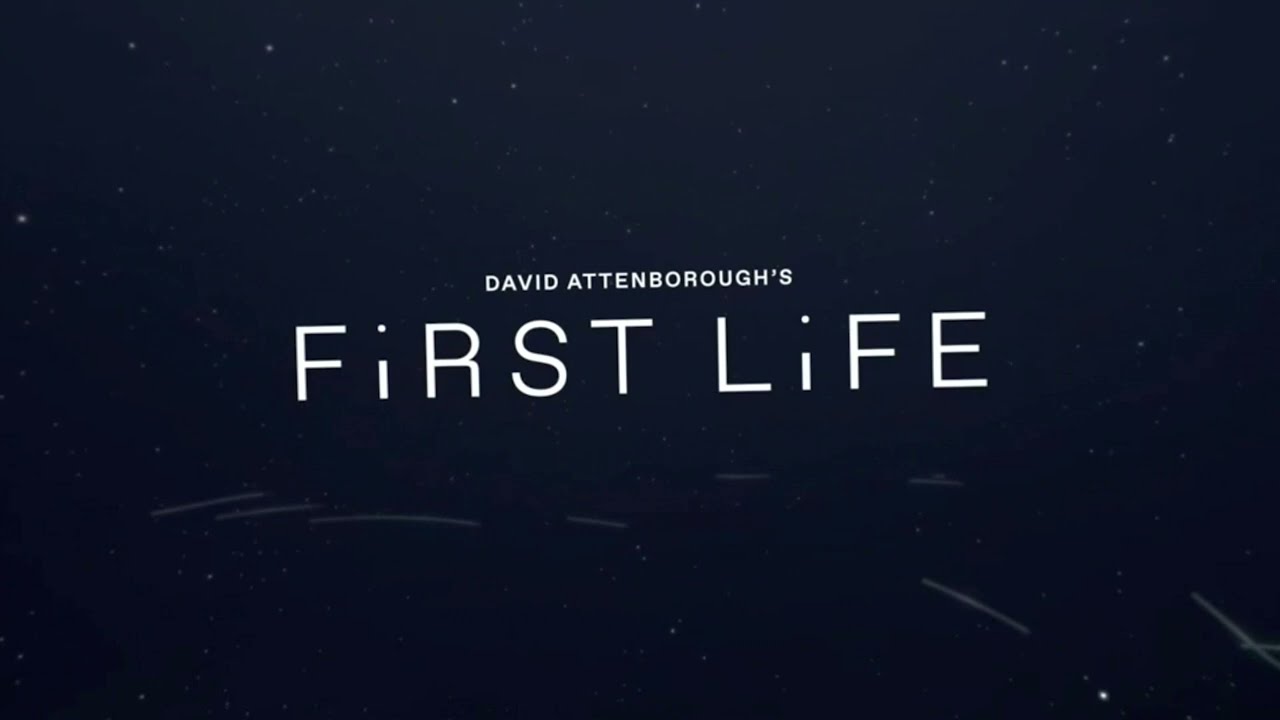 VR | ПЕРВАЯ ЖИЗНЬ Дэвида Аттенборо | РУС/АНГЛ СУБТИТРЫ