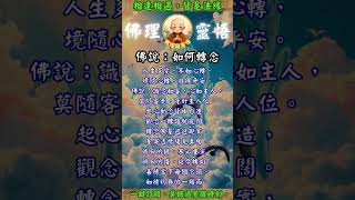 如何轉念(3) #佛說#佛陀#佛學#佛教#禪修#佛法智慧#佛教故事#佛教文化#佛教 #佛家 #佛法 #佛學知識 #佛學智慧 #修心修行 #佛教文化 #禪悟人生#傳統文化#南無阿彌陀佛 #buddha