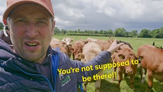Back from holidays...has the farm survived without me??