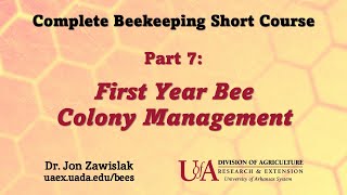 Part 7: First Year Bee Colony Management screenshot 3