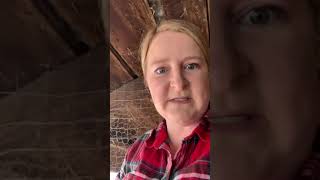 Virtual field trip-chickens