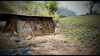 ช่วยแม่ซ่อมน้ำประปาภูเขามารดน้ำผัก มีกระท่อมของปู่ที่อาศัยอยู่มากว่า 40 ปี จนถึงปัจจุบัน