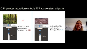 Can we separate the non-PCP component of variation in speleothem d13C?