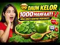 1 Daun Kecil, 1000 Manfaat! Ini Fakta Daun Kelor yang Jarang Diketahui
